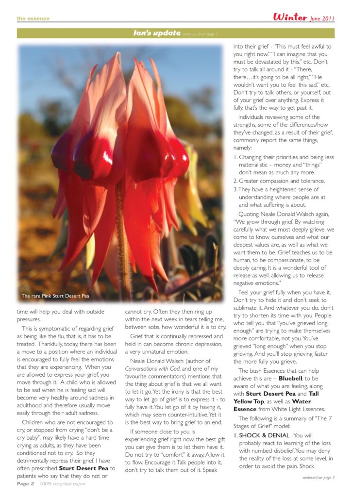 Flower Essences for Grief Caring for Carers