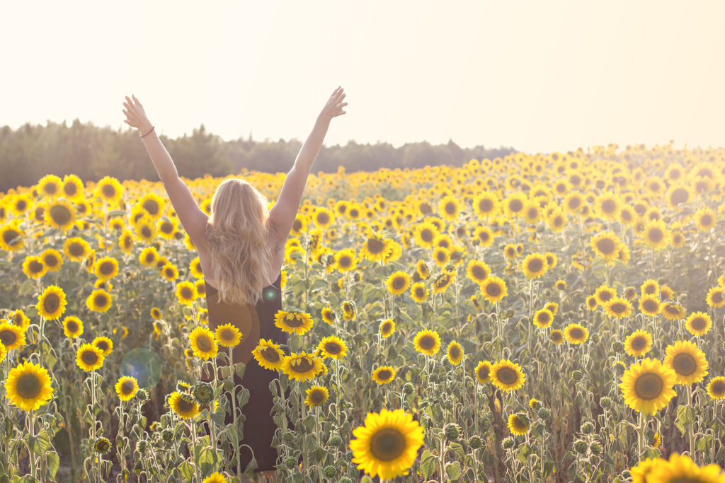 Flowers and flower essences for joy