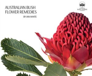 Australian Bush Flower Remedies – Ian White 